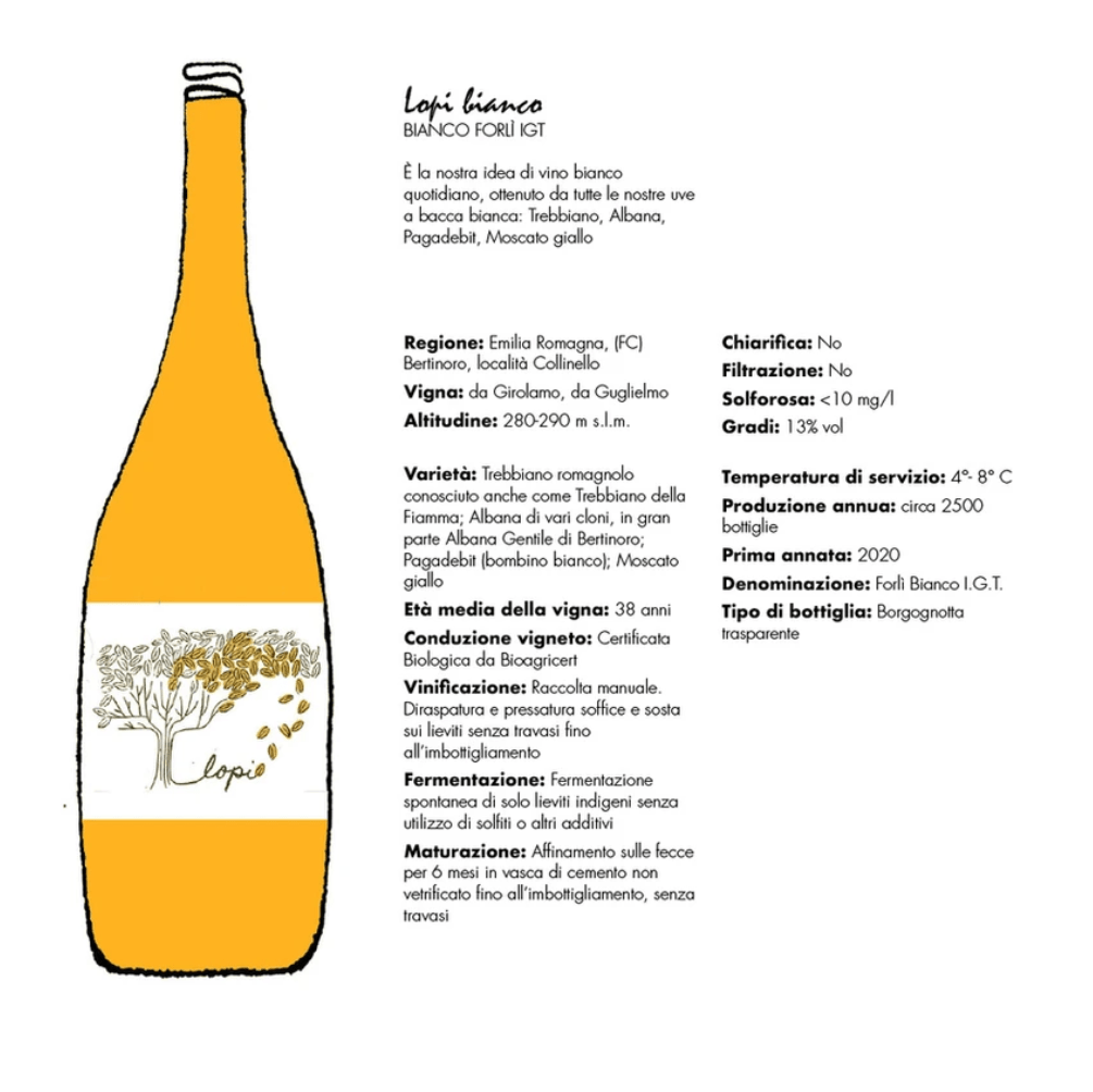 Lopi bianco